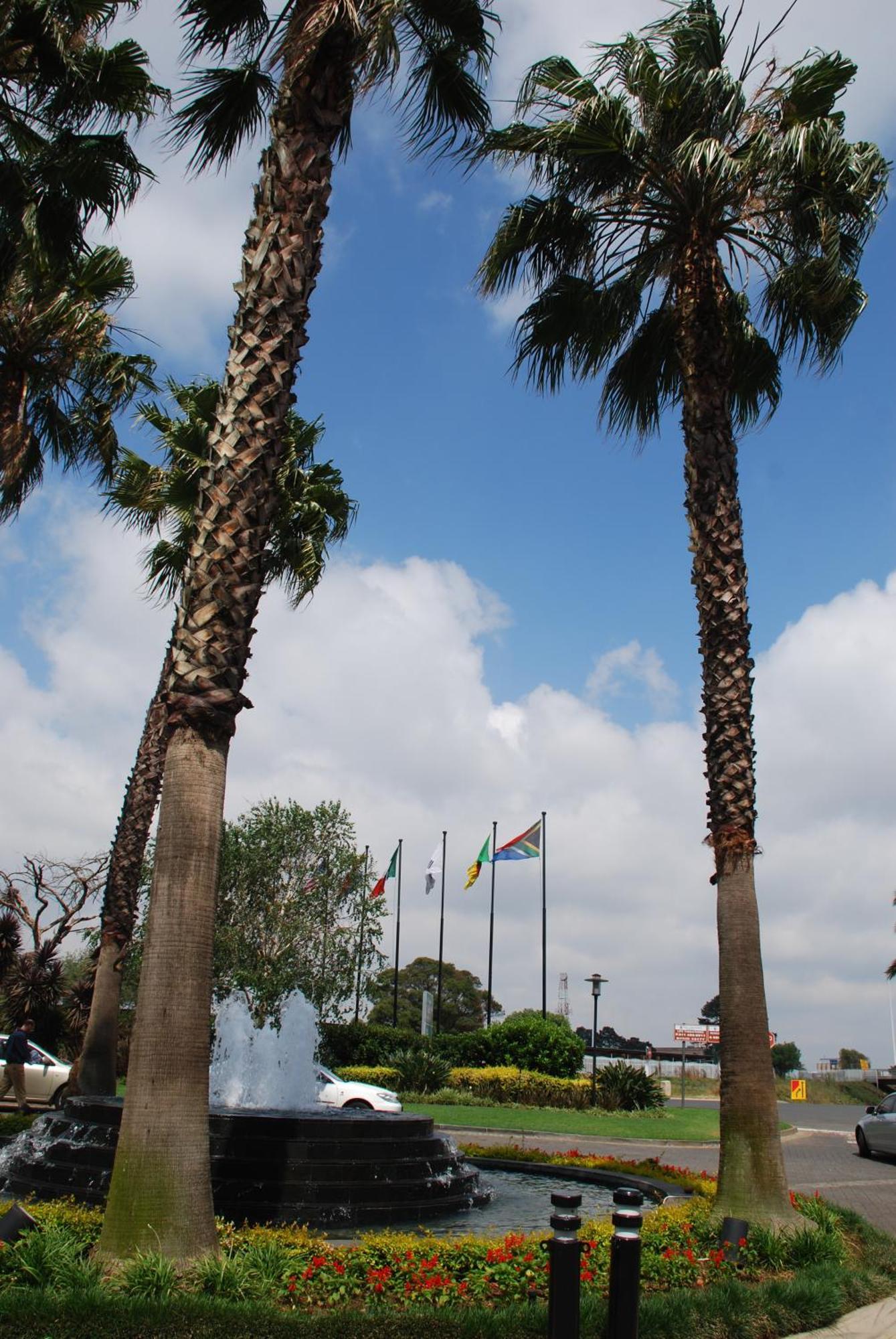 Southern Sun Or Tambo International Airport Kempton Park Eksteriør billede Welcome to Port Elizabeth